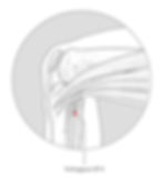 location of acupoint spleen 9