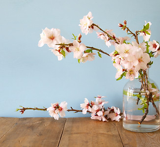 vase of Spring time flowers
