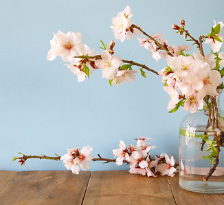 acupuncture-spring-tune-up-nyc